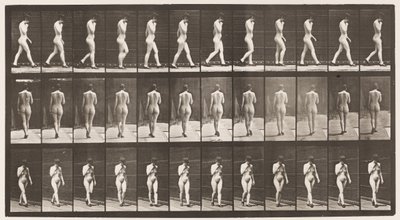 Tafel 23. Gehen, rechte Hand am Kinn, hochhackige Schuhe an von Eadweard Muybridge