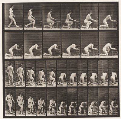 Tafel 254. Knien, Ellbogen auf dem Stuhl, Hände gefaltet von Eadweard Muybridge