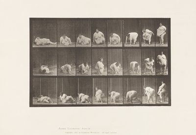 Tafel 268. Vom Boden aufstehen von Eadweard Muybridge