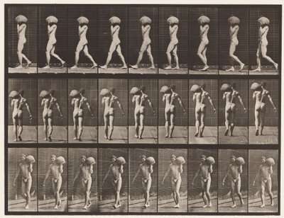 Tafel 26. Gehen, 75-Pfund-Stein auf der linken Schulter tragen von Eadweard Muybridge