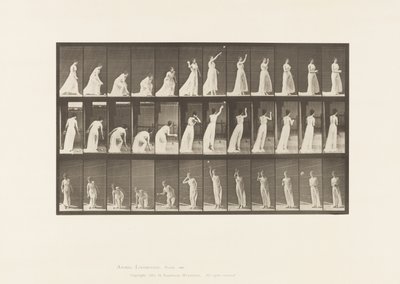 Tafel 305. Einen Ball aufheben und werfen von Eadweard Muybridge
