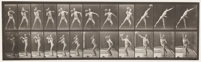 Tafel 319. Heben eines 75-Pfund-Steins von Eadweard Muybridge