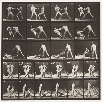 Tafel 333. Boxen; 53 schlägt 52 nieder (Schuhe) von Eadweard Muybridge