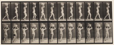Gehen, 14-Pfund-Korb auf dem Kopf, Hände erhoben von Eadweard Muybridge