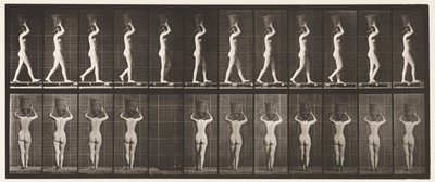 Tafel 34. Gehen von Eadweard Muybridge