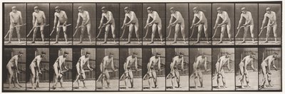 Tafel 391. Bauer, der Gras mäht von Eadweard Muybridge