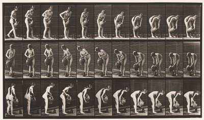 Tafel 446. Krug auf dem Boden aus einem Wasserkrug füllen von Eadweard Muybridge