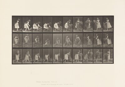Tafel 458. Heuhaufen heben, drehen, werfen von Eadweard Muybridge