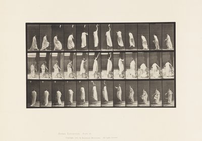 Auf Stuhl steigen, nach oben greifen und absteigen von Eadweard Muybridge