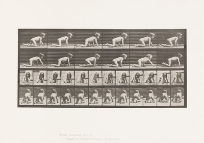 Kind, auf Händen und Knien kriechend von Eadweard Muybridge