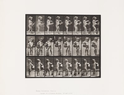 Kind, besprengt Blumen mit Wasser, 1885 von Eadweard Muybridge