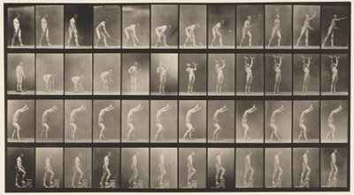 Rasen-Tennis; Hanteln; auf Händen gehen von Eadweard Muybridge