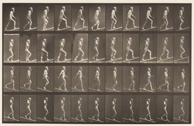 Tafel 489. A, Aufsteigende Steigung, 1872-1885 von Eadweard Muybridge