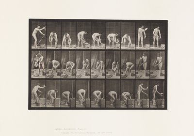 Tafel 505. Mauern von Eadweard Muybridge