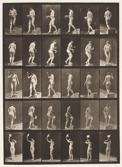 Tafel 525. A, Stufe hinabsteigen; B, Stufe hinaufsteigen, 1872-1885 von Eadweard Muybridge