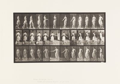 Tafel 53. Gehen, Blumen streuen und Drehbewegung von Eadweard Muybridge