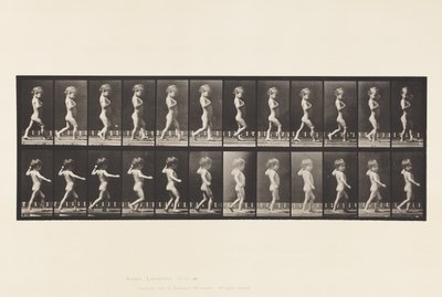 Tafel 540. A, O-Beine; Junge; B, Wirbelsäulenverkrümmung; Mädchen geht, 1885 von Eadweard Muybridge