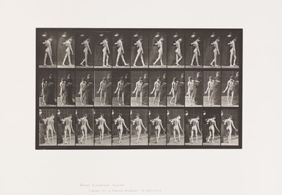 Platte 541. Multiple zerebrospinale Sklerose (Choreisch); Gehen von Eadweard Muybridge