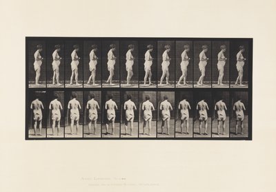 Tafel 542. Multiple Zerebrospinale Sklerose - Gehen von Eadweard Muybridge