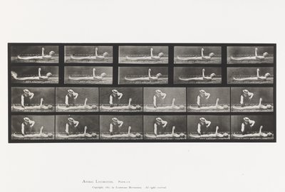 Tafel 556. Lokale Chorea; A, B, Während des Liegens von Eadweard Muybridge