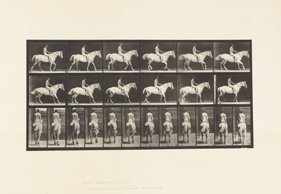 Tafel 582. Gehend; Sattel; Reiter, 43, Nackt; Hellgraues Pferd Smith von Eadweard Muybridge
