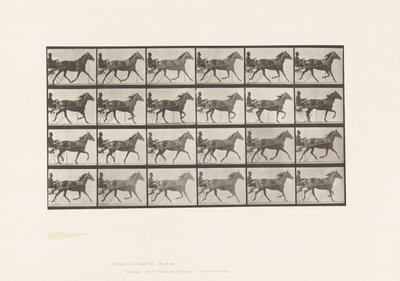 Tafel 607. Trabend; Sulky; Braune Stute, Lizzie M. von Eadweard Muybridge