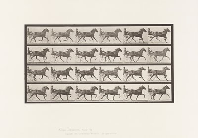 Tafel 609. Trabend; Sulky; Braune Stute Lizzie M. von Eadweard Muybridge