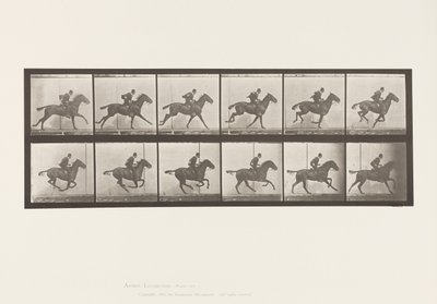 Tafel 624. Galopp; Sattel; Braunes Pferd Daisy von Eadweard Muybridge
