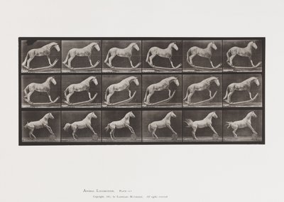 Tafel 649. A, Hornisse, Schaukelnd; B, Adler, rollendes Fass, usw. von Eadweard Muybridge
