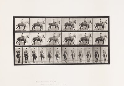 Tafel 653. Laufend; Sattel; Lahm, Rechter Vorderfuß; Pferd-Buckskin von Eadweard Muybridge