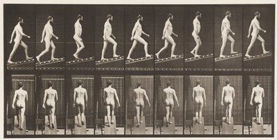 Tafel 75. Steigung hinaufsteigen, Winkel 1 zu 4, 1872-1885 von Eadweard Muybridge