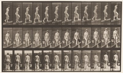 Tafel 82. Steigung hinaufsteigen, Eimer Wasser in jeder Hand von Eadweard Muybridge