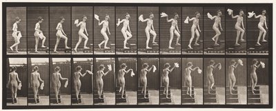 Tafel 96. Treppen hinaufsteigen, sich umsehen; Taschentuch winken von Eadweard Muybridge
