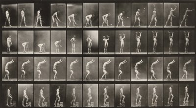 Tafel Nummer 488. A: Rasentennis. B: Hanteln. C: Auf Händen gehen. D: Treppensteigen von Eadweard Muybridge