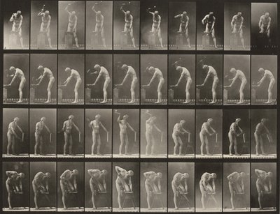 Tafel Nummer 491. A, B: Hämmern an einem Amboss. C: Gebrauch eines Beils. D: Sägen eines Brettes von Eadweard Muybridge
