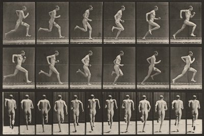 Tafel Nummer 62. Laufen mit voller Geschwindigkeit von Eadweard Muybridge
