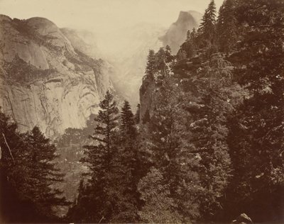 Tenaya Canyon von Union Point, Yosemite-Tal von Eadweard Muybridge