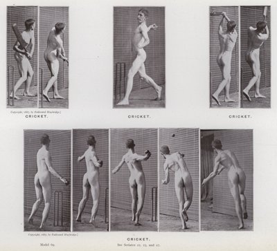 Die menschliche Figur in Bewegung: Cricket von Eadweard Muybridge