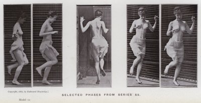 Die menschliche Figur in Bewegung: Ausgewählte Phasen aus Serie 55 von Eadweard Muybridge
