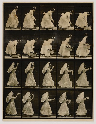 Frau hebt einen Korb, winkt mit einem Taschentuch, aus dem Buch Animal Locomotion von Eadweard Muybridge