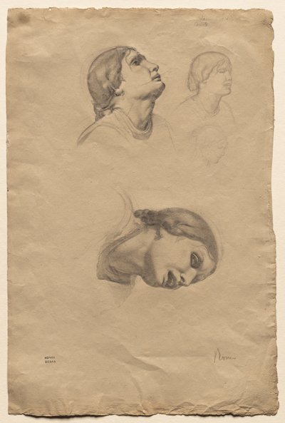 Vier Studien des Kopfes einer jungen Italienerin von Edgar Degas