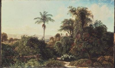 Kubanische Landschaft von Edmund Darch Lewis