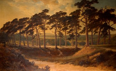 Harrow vom Ersten, Hampstead Heath, 1875 von Edmund John Niemann