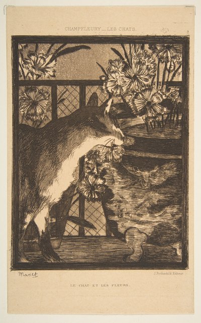 Katze und Blumen. Illustration zu Die Katzen von Champfleury, 1869 von Édouard Manet