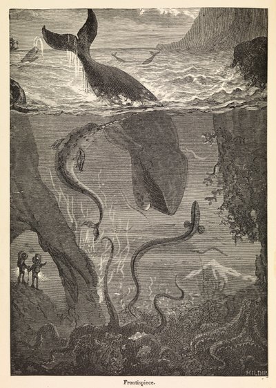 Frontispiz von Jules Vernes 