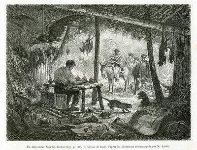 Ein Präparationslabor im Urwald, in der Region Llanos (Kolumbien), Zeichnung von Riou, zur Illustration der Geschichte von Equinoxiale America (Kolumbien, Ecuador, Peru), 1875-1876, von Ed. Andre, Reisemission beauftragt von der französischen Regierung. Gr von Edouard Riou