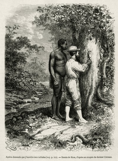 Apatou, Führer und Reisebegleiter, bittet den Entdeckerautor, seine Initialen in die Rinde eines Baumes zu gravieren. Gravur von Riou, um die Geschichte von Cayenne aux Andes von Jules Crevaux, Arzt der französischen Marine, in 1878-1879 zu illustrieren, v von Edouard Riou