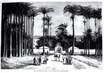 Place des Palmistes, Cayenne, Guyana von Edouard Riou