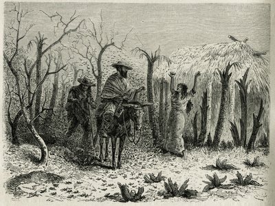 Die Heuschreckenschwärme des oberen Patia-Tals, mit dem Erzähler der Reise auf seinem Maultier, Gravur von Riou, um die Geschichte L