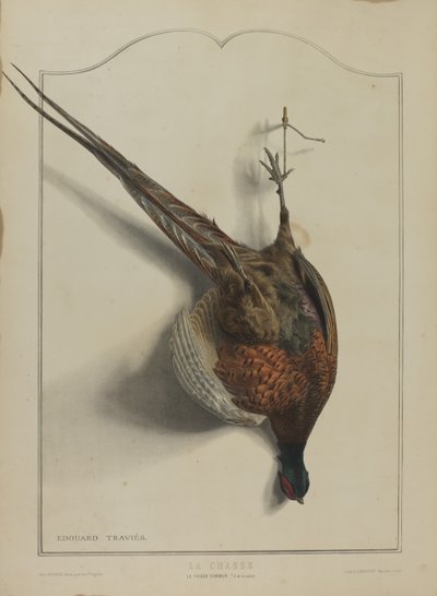 Die Jagd: Der Gemeine Fasan von Edouard Travies